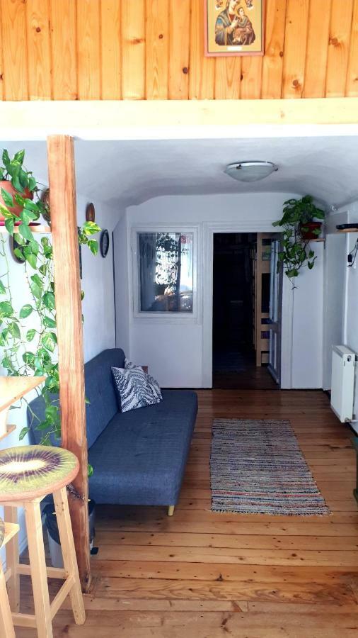 Casa Felix Apartment Sinaia Luaran gambar